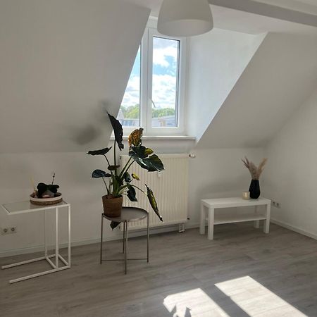 Cozy Work And Stay Pretty Home Chemnitz Eksteriør bilde