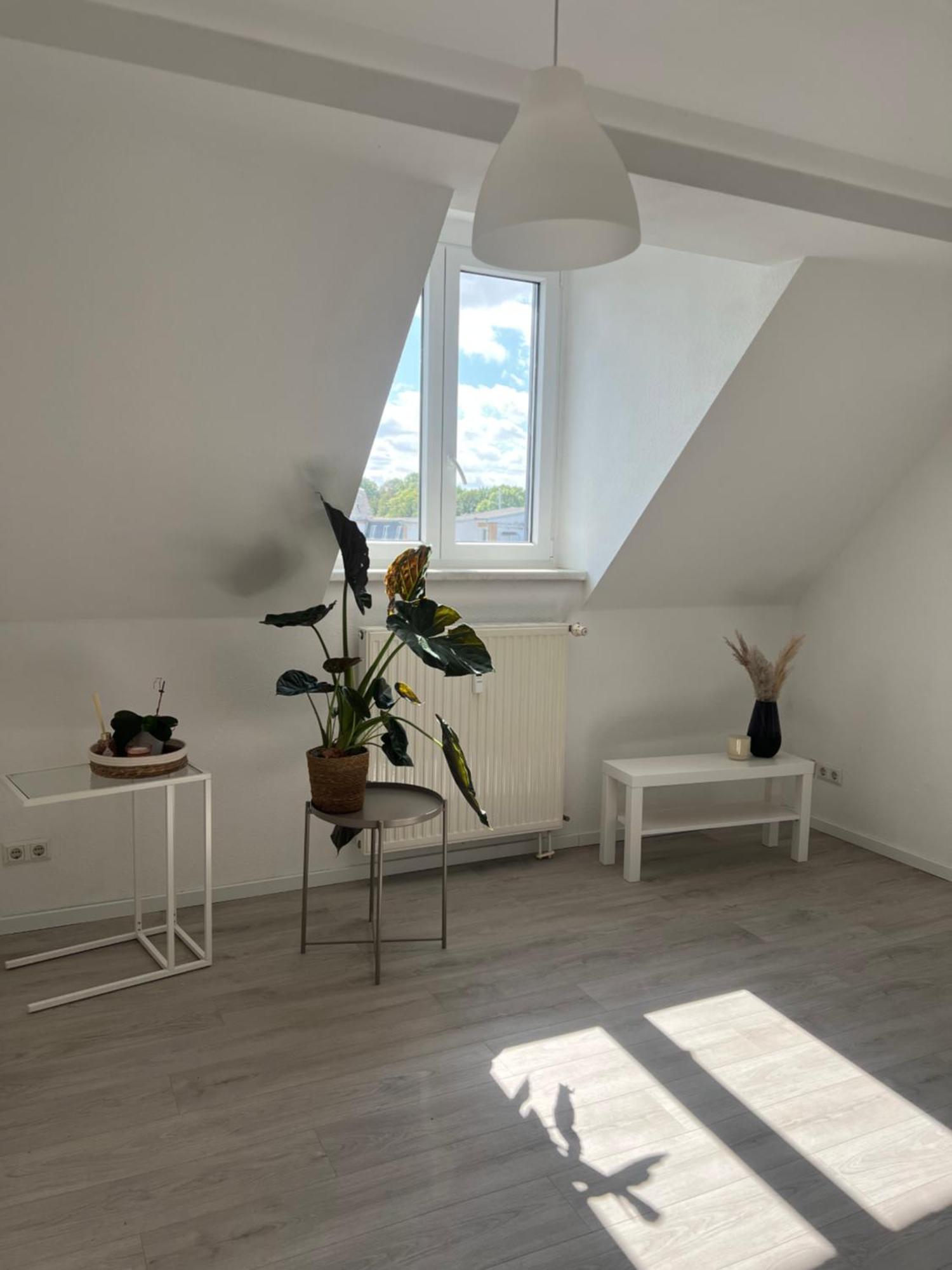 Cozy Work And Stay Pretty Home Chemnitz Eksteriør bilde